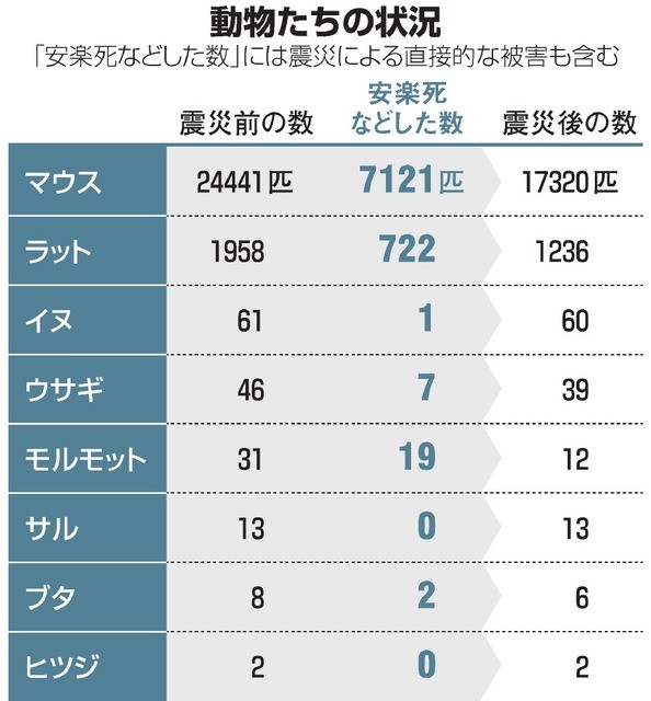 東日本大震災による東北大学大学院医学系研究科付属動物実験施設(仙台市青葉区)の実験動物たちへの影響