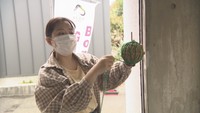 盆栽の普及活動をする大学生が苔玉づくりでPR 高松市
