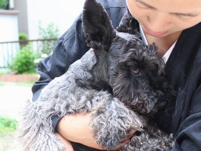 ママって温かい