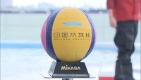 人間用以外は初めて!「イルカ専用ボール」をミカサが製作…その性能は? 香川県宇多津町・四国水族館