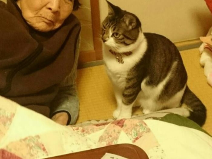 小穴さんのお母さんに寄り添うゴん太。皆に優しい!