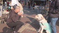 愛犬と一緒にこんぴら参拝や買い物を楽しんで 期間限定イベント 香川・琴平町