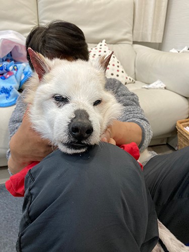 パパさんと一緒に、リラックスして満足そう!(上村さん提供)
