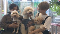ドッグカフェや雑貨店など 倉敷市真備地区に地域を盛り上げる新店が続々オープン!〈西日本豪雨から5年〉【いまココ!ナビ】