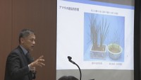二酸化炭素の吸収源として注目 「藻場」の役割について考えるセミナー 高松市