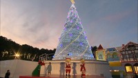 中四国最大級!23mのツリー レオマに電飾10万個の輝き 香川・丸亀市
