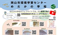 メダカなど20種類の淡水魚 動画で紹介 岡山市