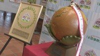 全国植樹祭のシンボル「木製地球儀」が岡山県庁に到着 約8カ月かけ27市町村全てを巡回