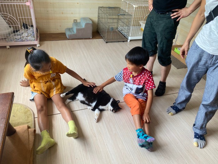 譲渡希望者が来訪できるオープンシェルター日には、猫とくつろぐ姿がいろいろな場所でみられます