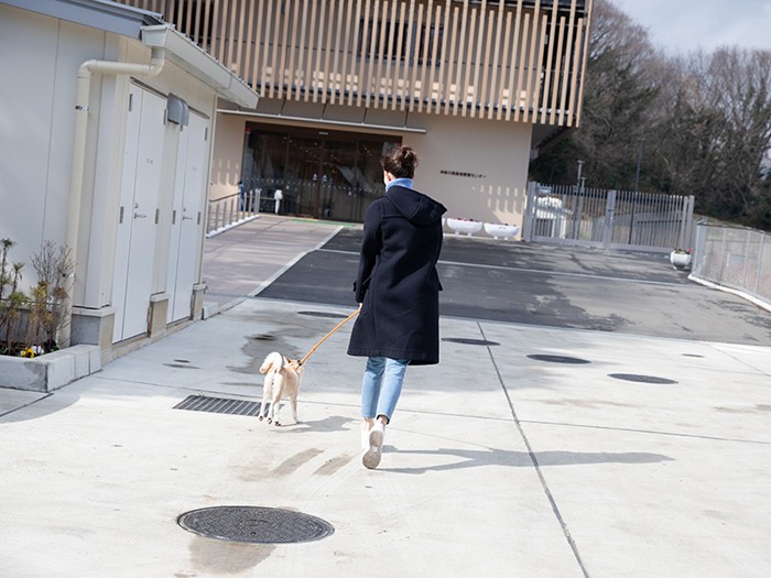 迷子になり保護された犬「よつば」と散歩する松島さん