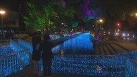 間もなくクリスマス 岡山市中心部を彩るイルミネーション 杜の街グレース・西川緑道公園