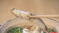 “まぼろしの漁師めし”の魅力知って 伊吹島特産「釜揚げいりこ」を使った料理キャンペーン 香川