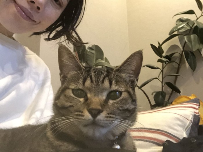 2019 秋。「ひざってやっぱり落ち着くにゃ」(Shingo Suzukiさん提供)