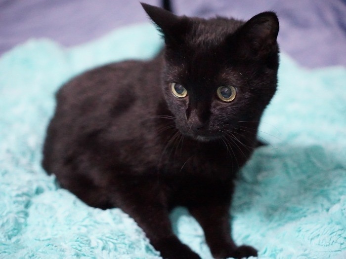 楽しそうな雰囲気に誘われ?姿をみせたイヌオ