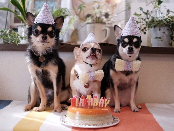 お父さんのトイ(中央)の誕生日。とんがり帽も手作り。