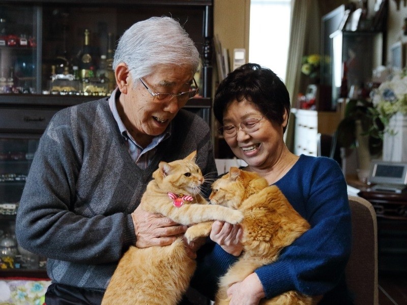 2匹がいると笑顔が溢れます