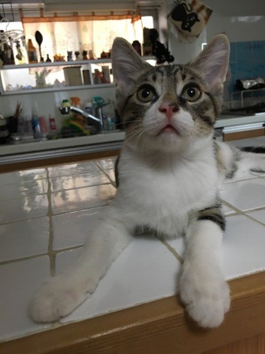 ここがひんやりして気持ちいいの