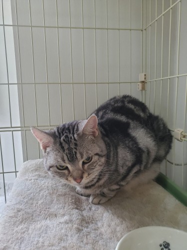 最初だけ緊張しましたが