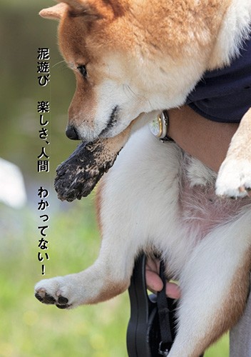 「泥遊び 楽しさ、人間 わかってない!」shiba's eyesより(辰巳出版提供)