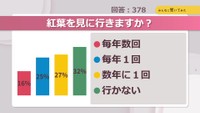 紅葉を見に行きますか?【みんなに聞いてみた】