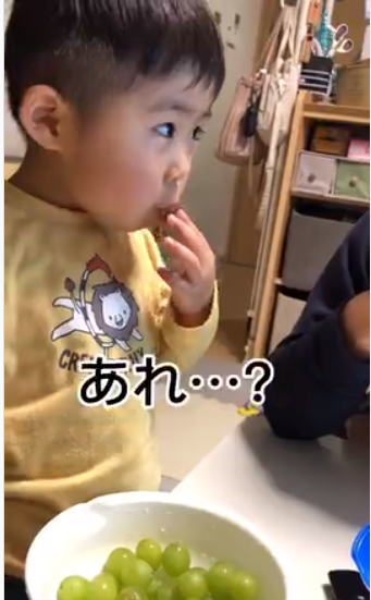マスカットに混ざったミニトマト→すぐさま異変に気付く息子 「可愛すぎ」「違いが分かる男だぁ」