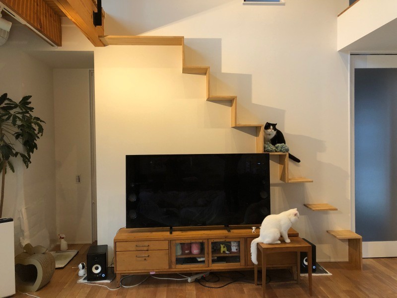 サロンには猫との幸せな暮らしのヒントがいっぱい