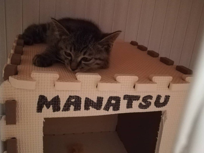 「ハウスも作ってもらったけど、まだ少し緊張してたの」