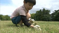 340人が参加して公園をきれいに「環境クリーン作戦」香川・高松市