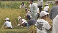 岡山後楽園で小学生が稲刈り体験 収穫したもち米は“おはぎ”に