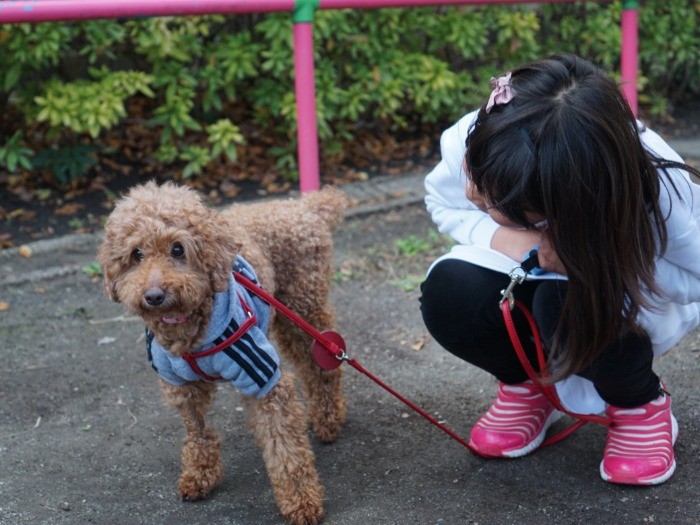 去勢時に(麻酔の為)剃られた右足が細く、お菓子のポッキーみたいだった
