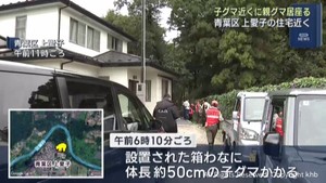 子グマがわなに掛かり親グマが離れず 仙台・青葉区上愛子の山林