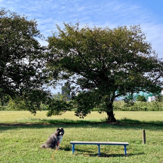 七海のベンチ巡り3 ここにもベンチがあったよー