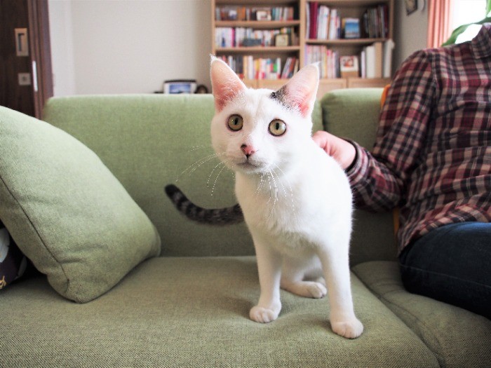 「ゆわん」の名は、奄美の湯湾岳から、齋藤先生がつけた。
