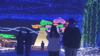 65万個のライトが照らすまんのう公園など 香川のイルミネーションスポットを紹介【いまココ!ナビ】