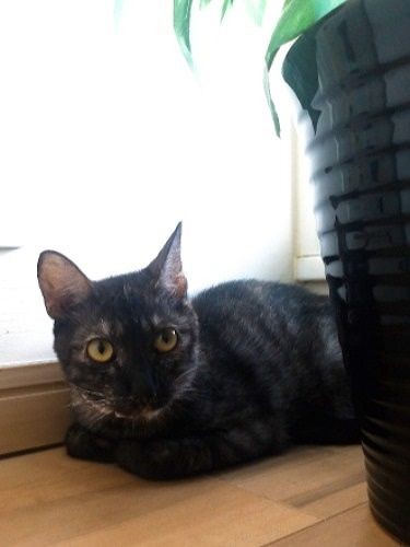 最初は緊張して…(提供写真)