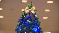 医療従事者への感謝とエールを イメージカラーの青い光でクリスマスムードを盛り上げ 岡山市