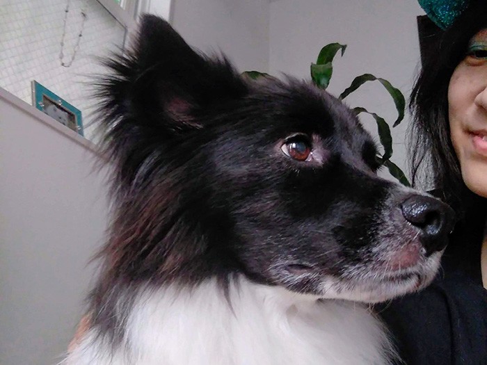 精悍な表情を見せることも