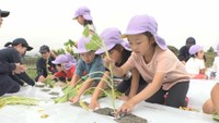 園児がサツマイモの植え付け体験 高校生が農業の魅力を伝える 香川・綾川町