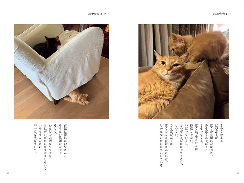 (画像提供元)『ハニオ日記Ⅲ 2019 -2021』