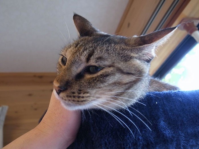 ママを優しく見つめる
