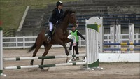 人馬一体となって正確で美しい演技を披露 中国四国の馬術大会 岡山・真庭市