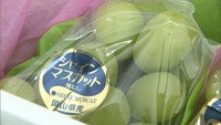 全国一の生産量を誇るニューピオーネなど20品種を販売 総社市でブドウ祭り 岡山県
