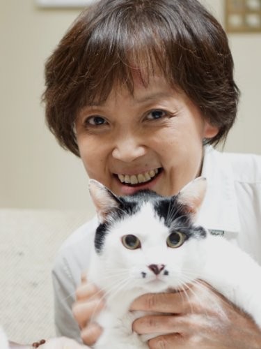 ハチと郁子さん「お菓子を通し、小さな幸せと優しいひと時を届けたい」