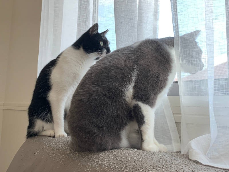 外もしっかりパトロール