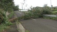 台風10号 香川の状況(午前11時現在)東かがわで観測史上最大風速を観測