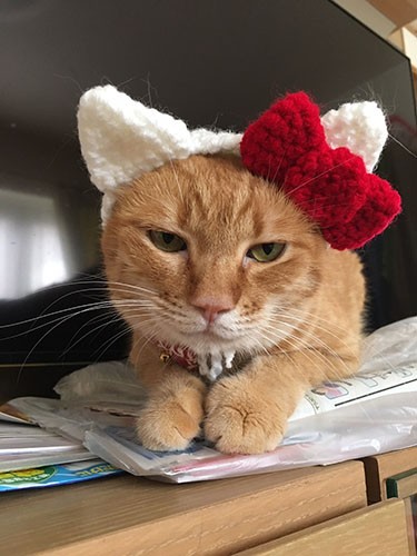 キティちゃんになってみた