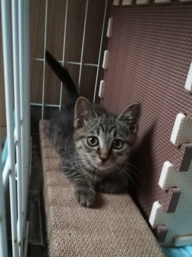 保護して1~2週間。「少し慣れてきたところよ」