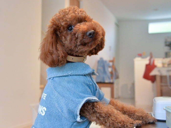 「次は何して遊ぼうかな」