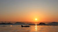 瀬戸内海に沈む夕日を眺める 四国水族館 9月は「黄昏時」まで営業 香川・宇多津町
