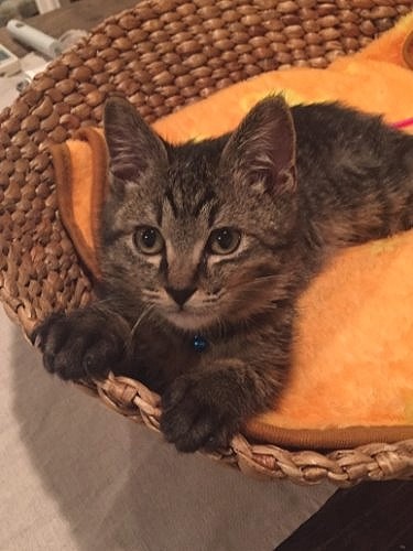 みんな幸せになりますように By グリ